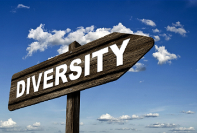 Diversity and the Church: A Culture with No Excuse