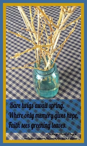 Bare branches wait spring