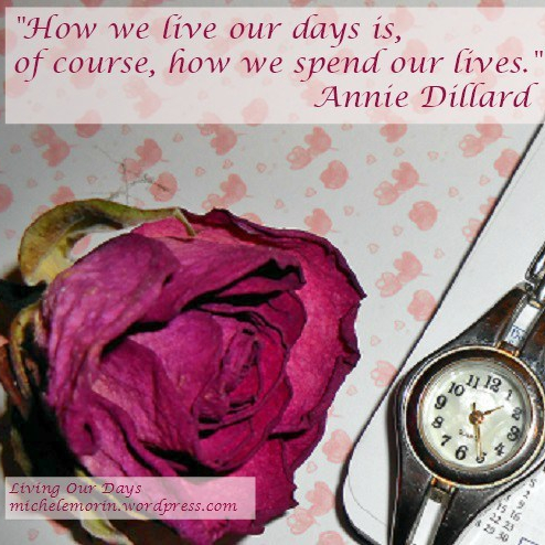 cropped-anniedillardquote-e1520361702733