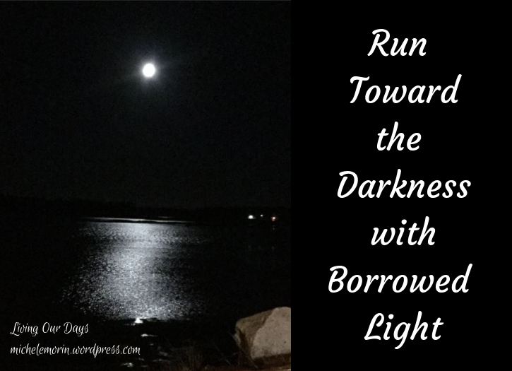 Review of The Consequence of Moonlight by Sofia Starnes