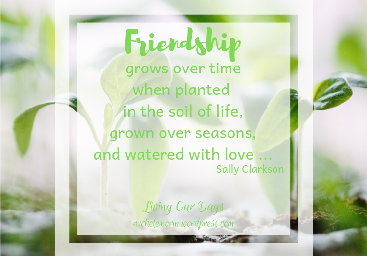In a lonely world where isolation is the norm and competition is the default, the deep connection of friendship is a rare gift.