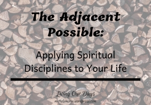 Make it your practice to begin working on your spiritual goals by addressing today’s adjacent possible.