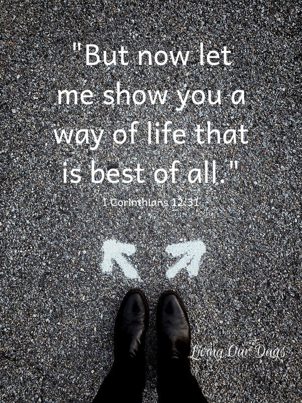 But now let me show you a way of life that is best of all. (I Corinthians 12:31)