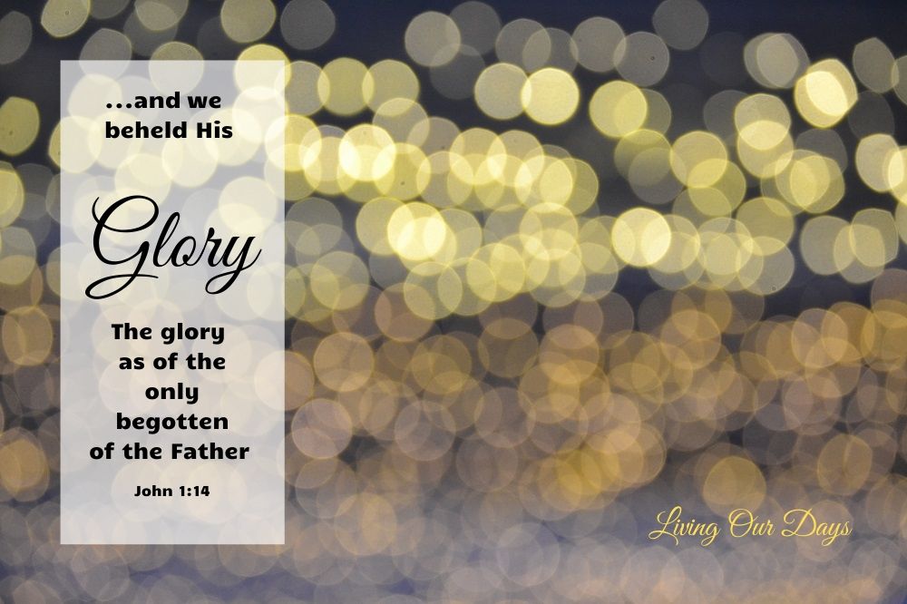 And we beheld his glory, the glory as of the only begotten of the Father (John 1:14)