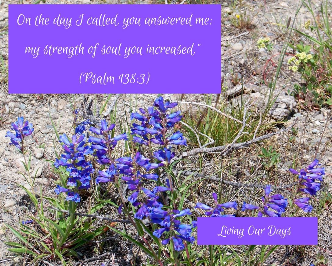 Like wisdom and daily provision, strength of soul is one of the gifts God holds out to his children for the asking. David the psalm-writing king bears witness: On the day I called, you answered me; my strength of soul you increased." 