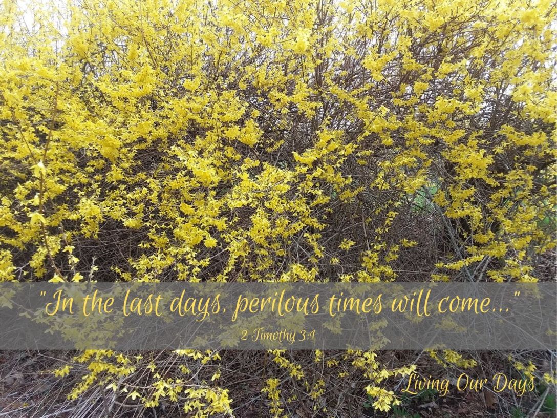 Whether we have ten minutes, ten years, or ten thousand years remaining on this planet, let's not waste them!