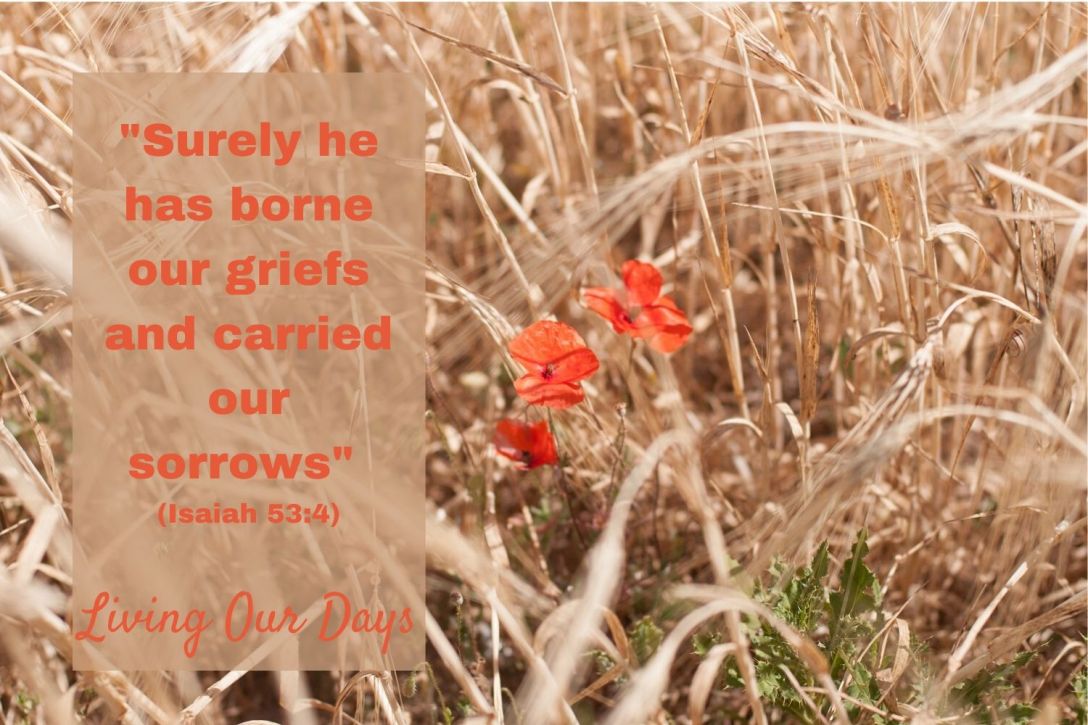 Believers are uniquely aided in the fight against bitterness.