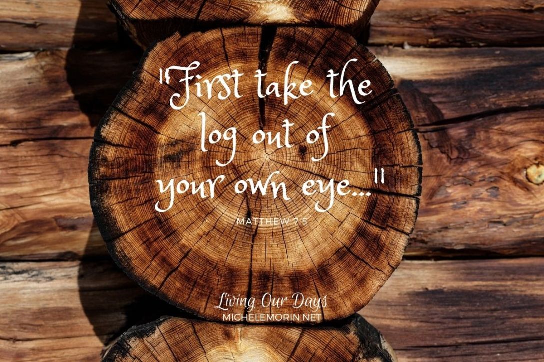 "First take the log out of your own eye..." Matthew 7:5