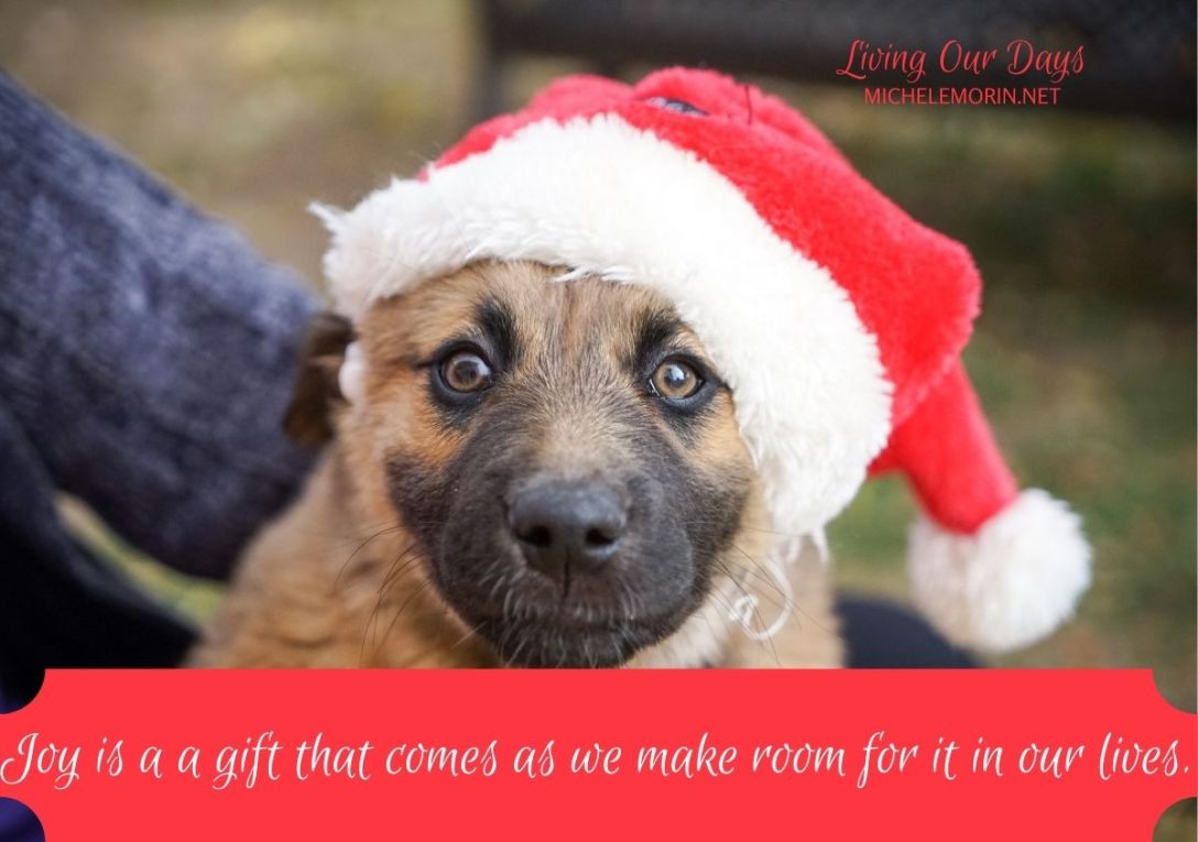 Joy is a gift that comes as we make room for it in our lives.