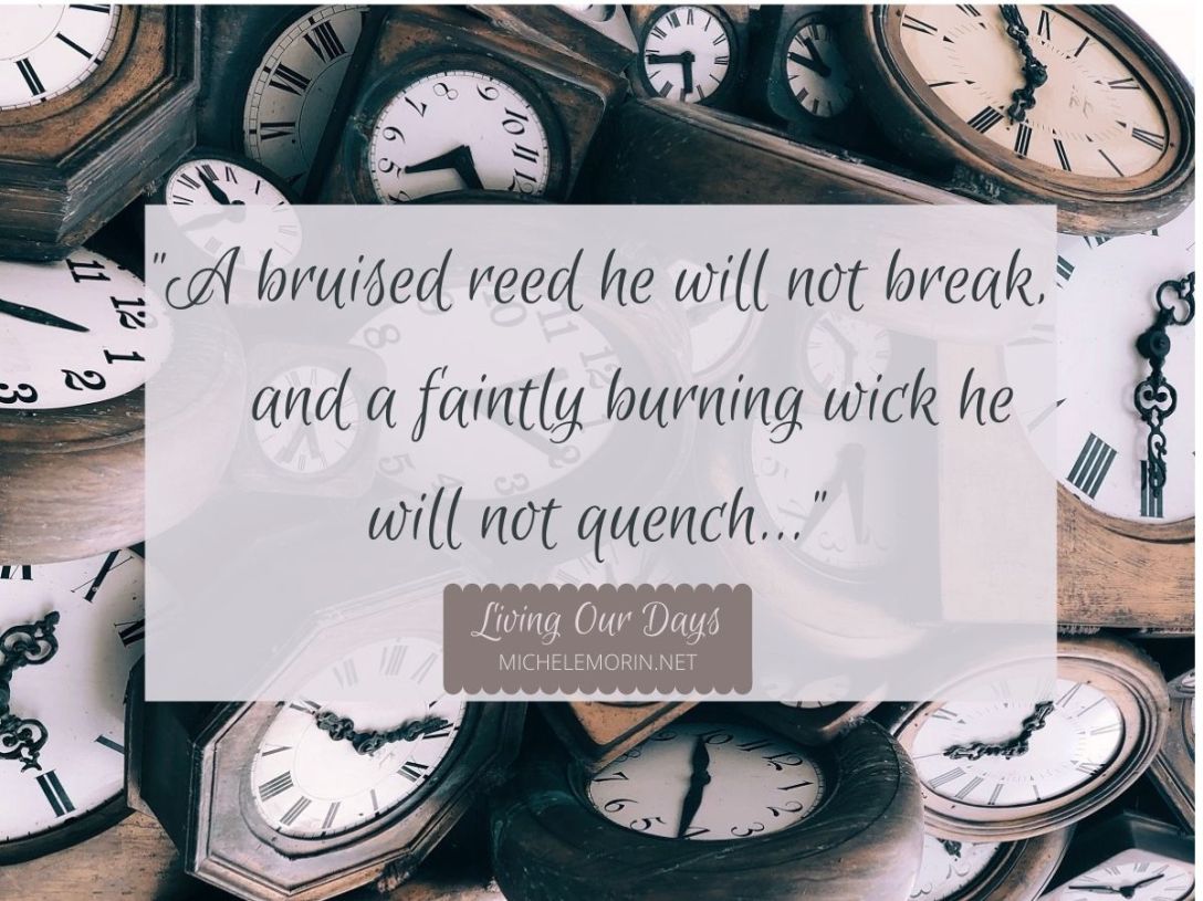 Do you feel as if your spring forward has just plain sprung?