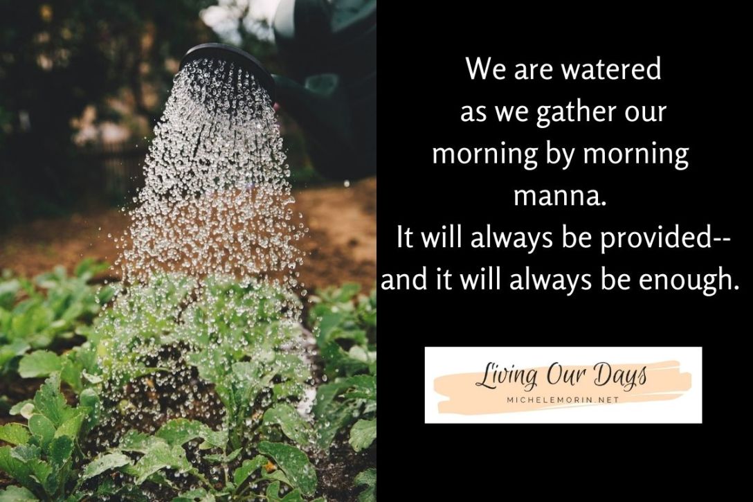 Morning by morning manna
