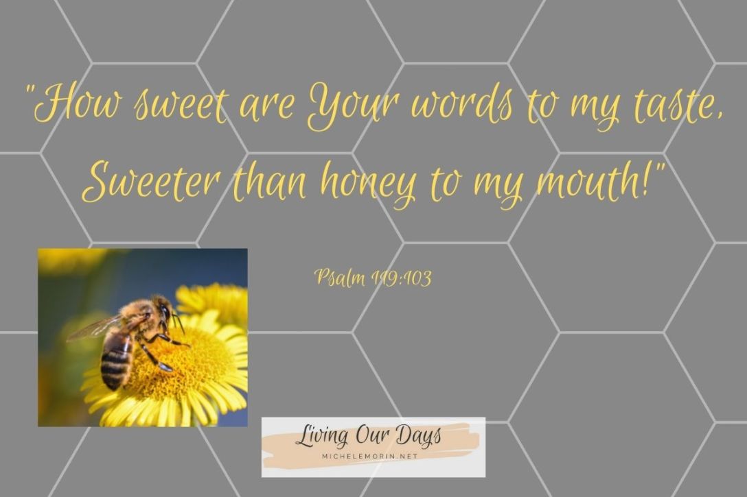 Taste for Reading the Bible