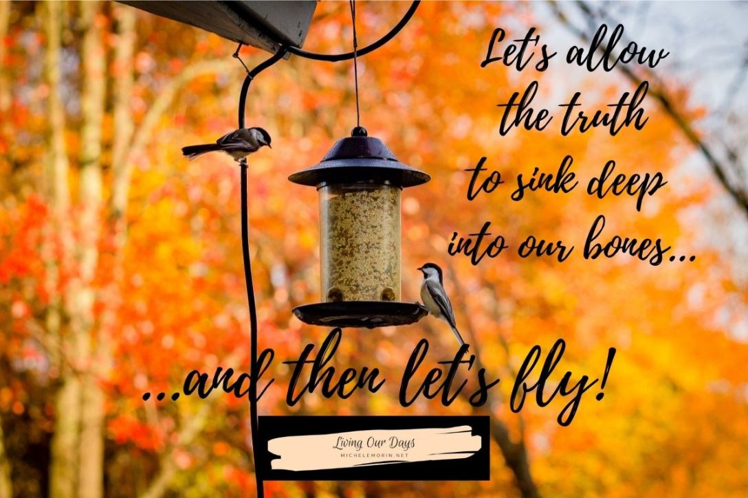 What Makes Birds So Much Smarter than People?