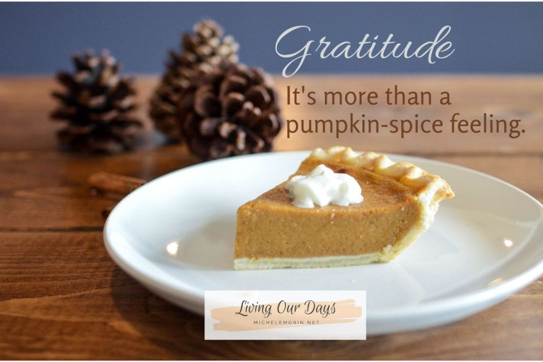 Persevere in Daily Gratitude