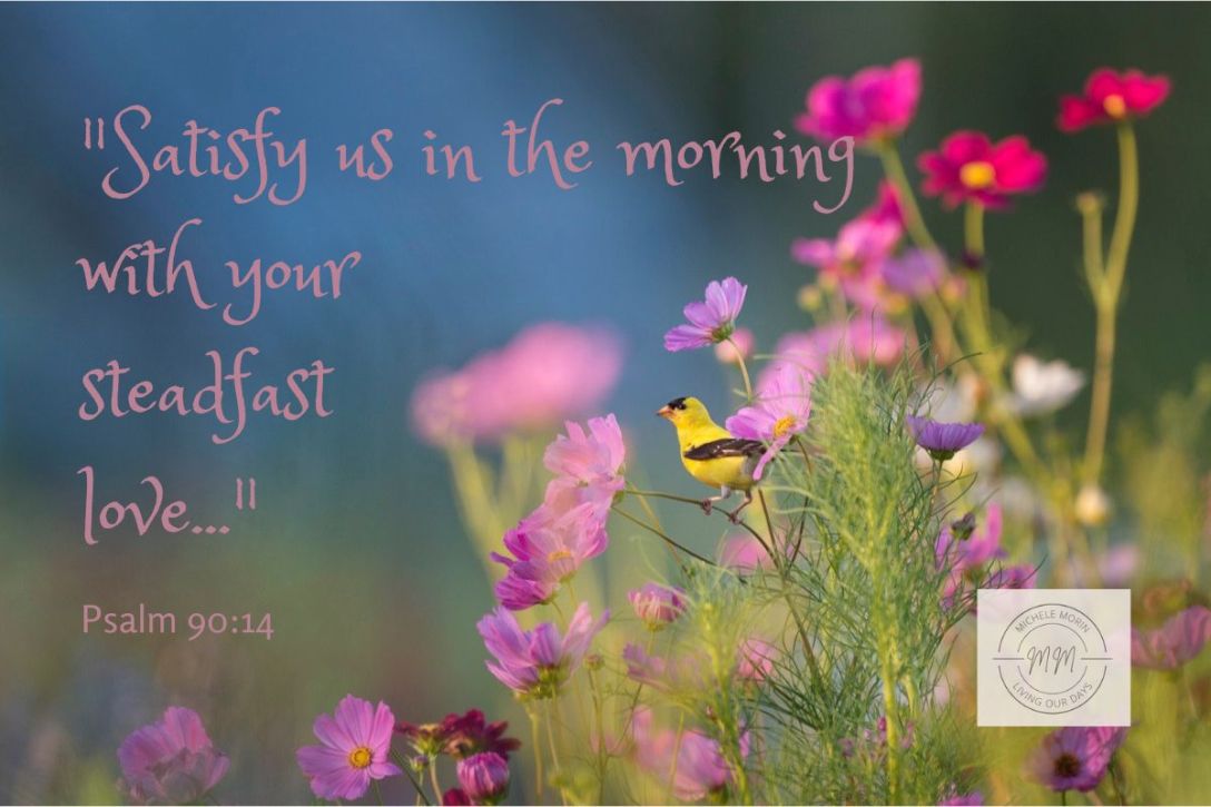 Finding Rest and Being Satisfied