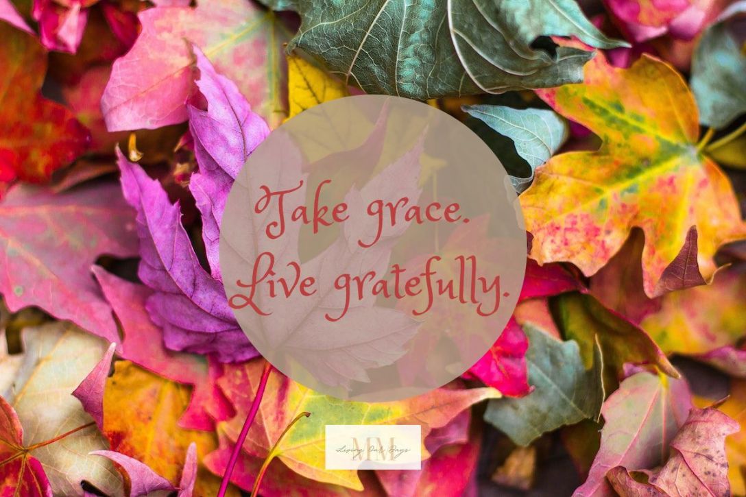 Celebrate Grace and Gratitude