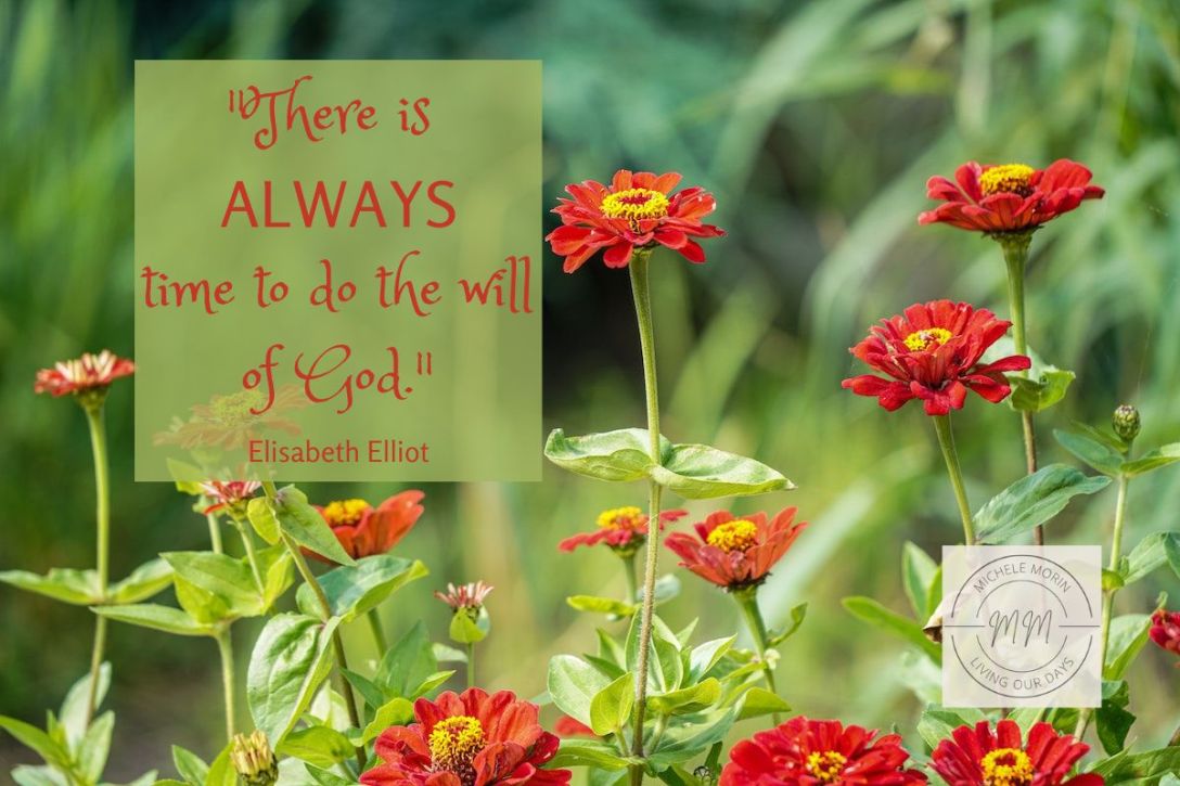 Standing on the Fringes of Life