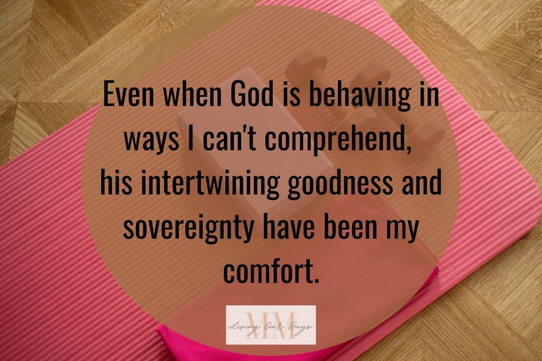 Living Within Limits