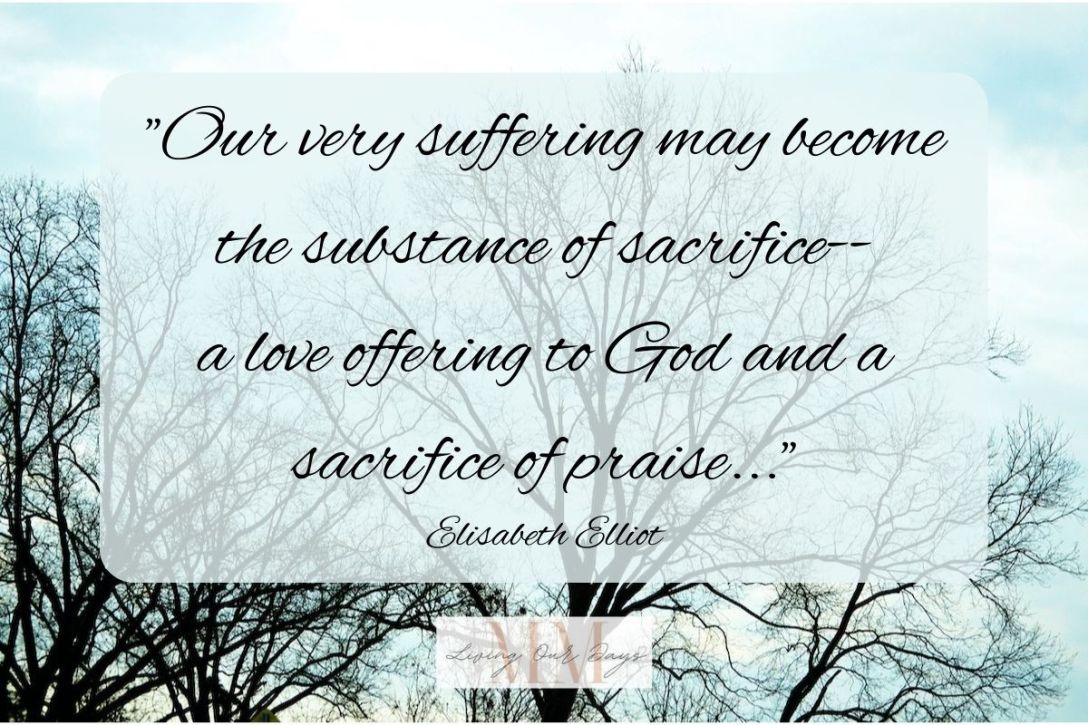 A Reason for Your Suffering