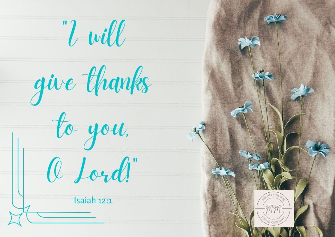 Solid Disciplines Foster Strong Habits