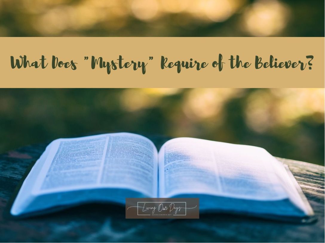 Have You Read Any Good Mysteries Lately?