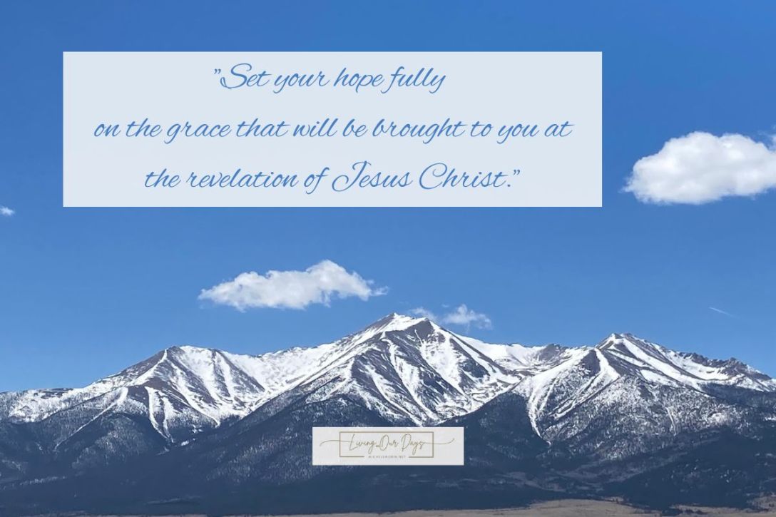 Are You Looking for a Good Reason to Keep on Being?