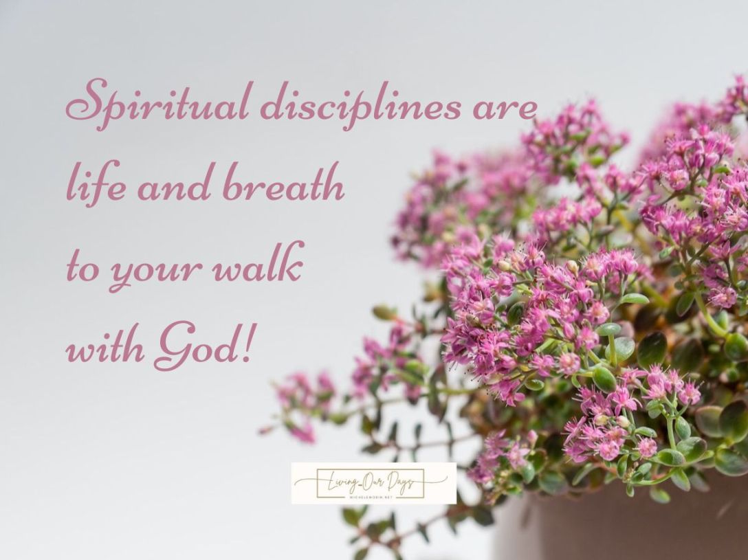 5 Resources to Encourage Spiritual Disciplines