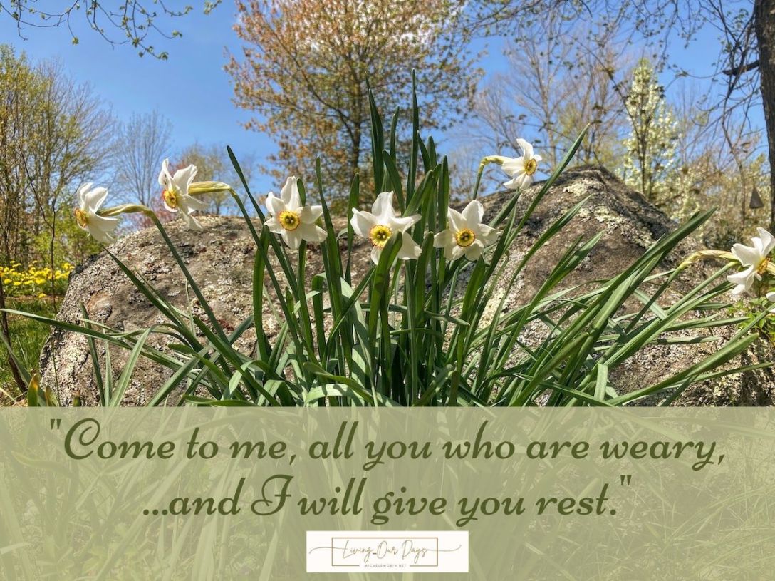 Rest for the Weary and Hope for a New Season