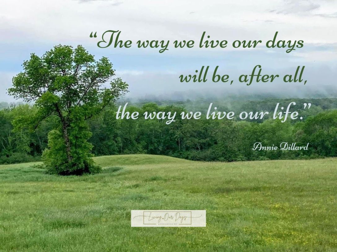 Three Powerful Reasons You Should Tell Your Story