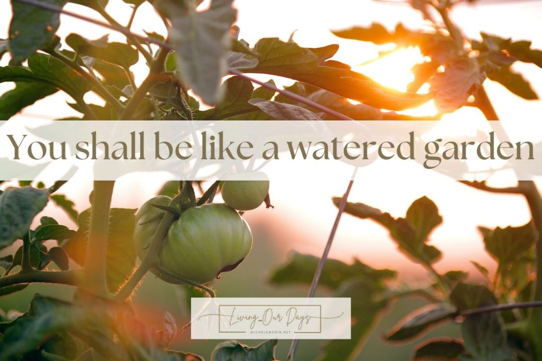 How to Stay Motivated and Excited About Reading the Bible