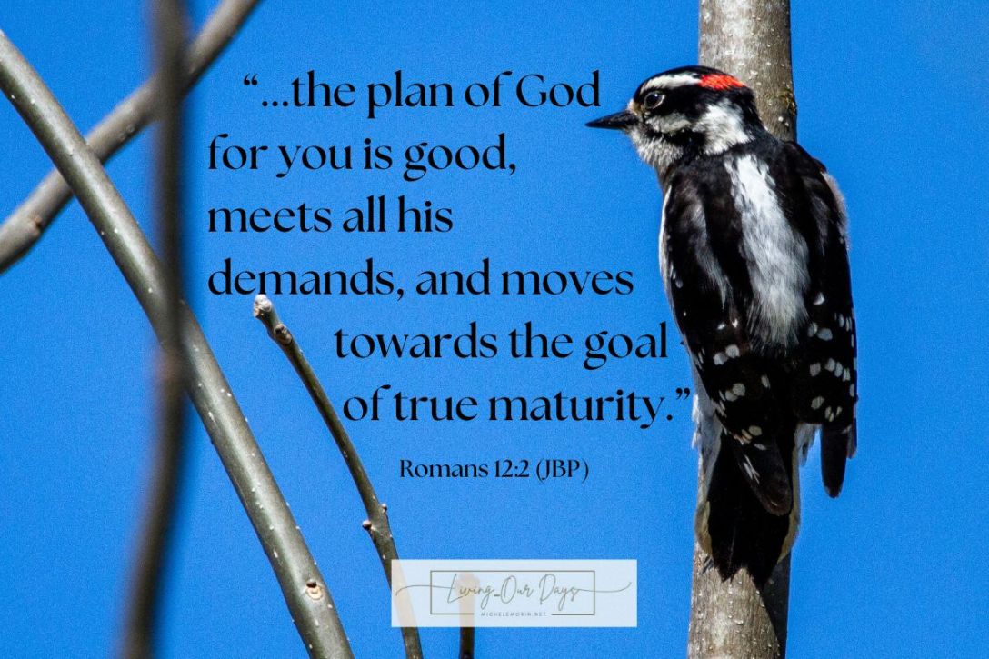 Your Extraordinary Life is the Life You Have Been Given