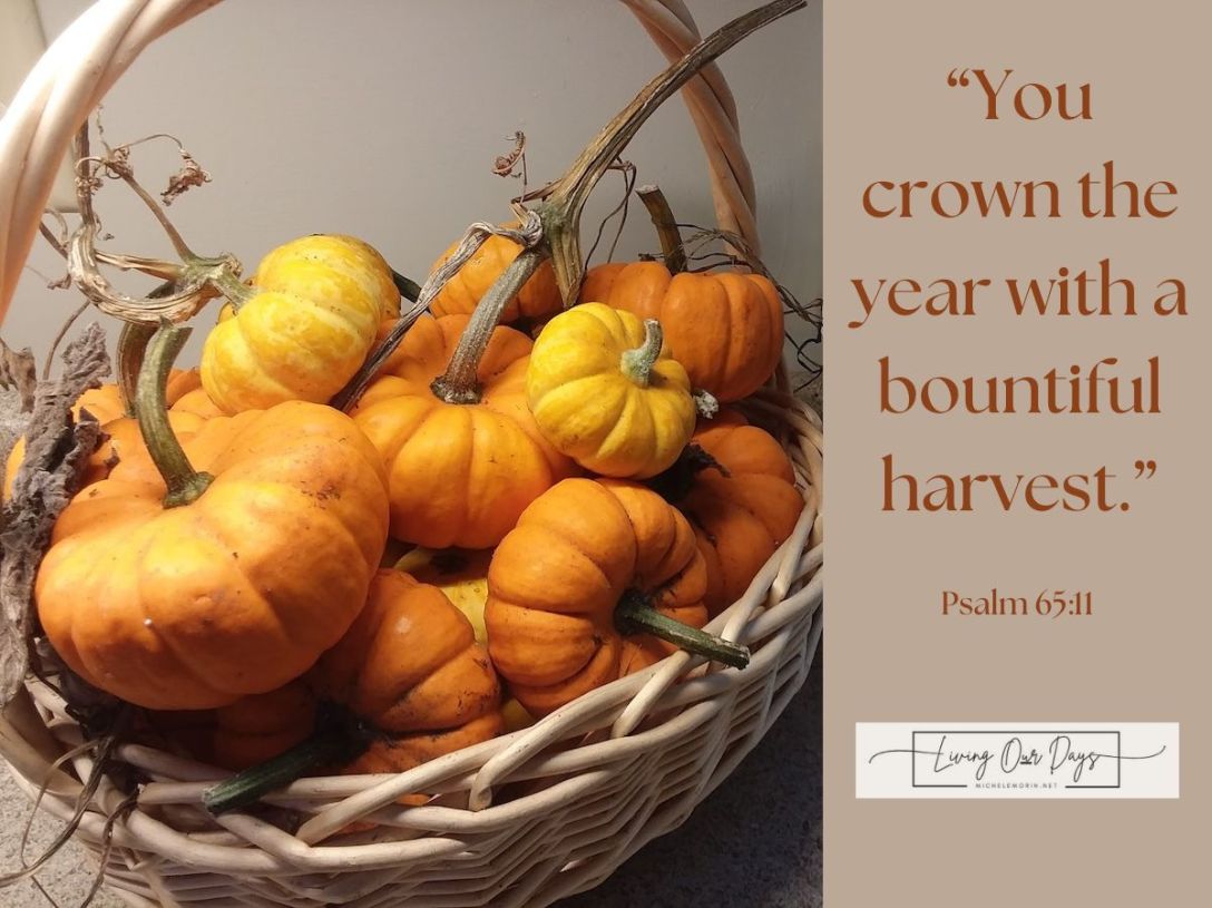 An Autumn Celebration: The Subtle Beauty of Midlife Fruitfulness