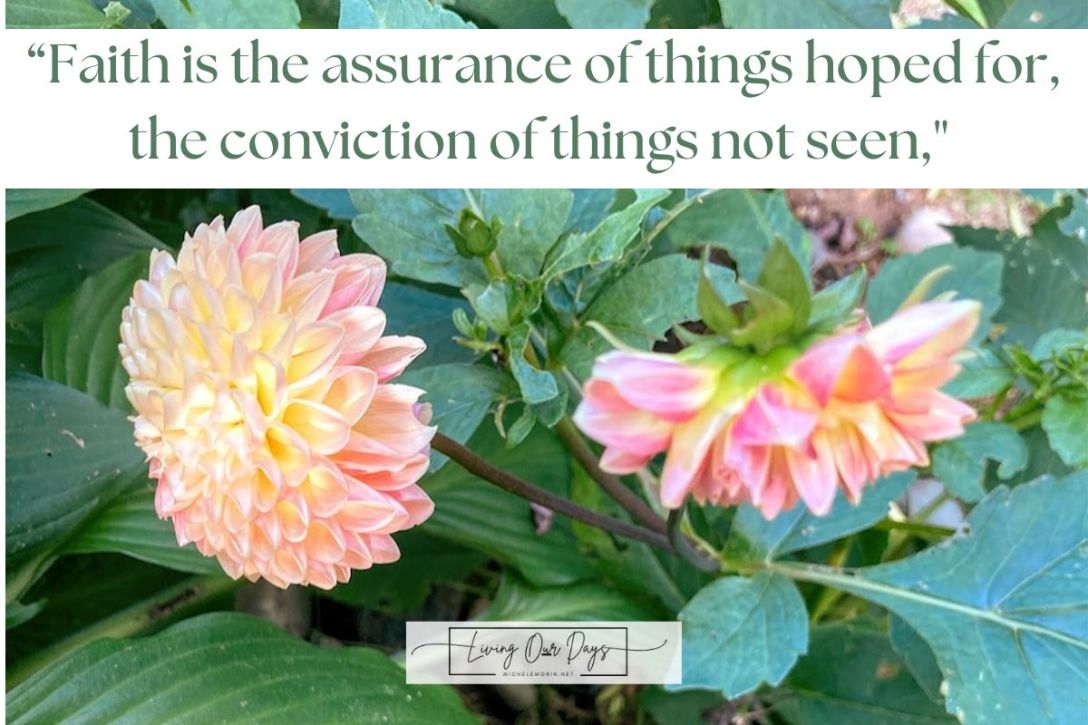 Fall Gardening in Maine and Other Extreme Acts of Faith