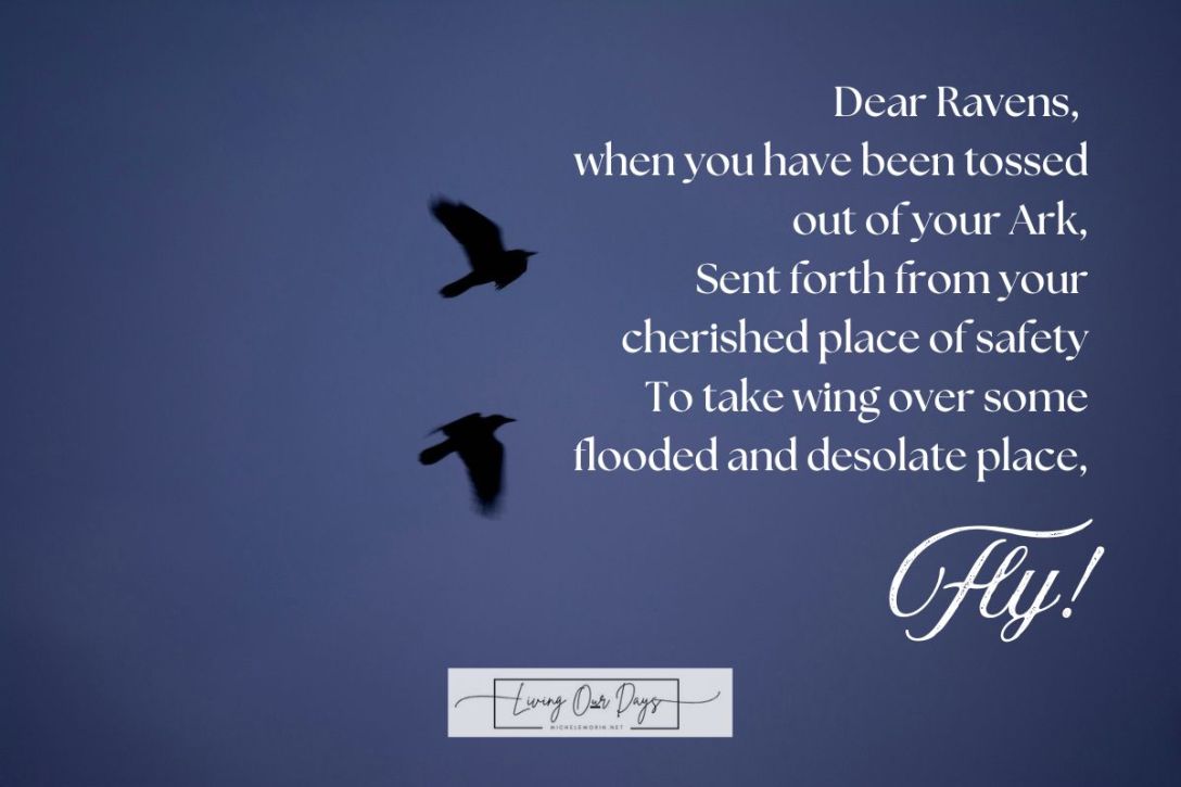 For All the Ravens Who Carry Hope and Encouragement