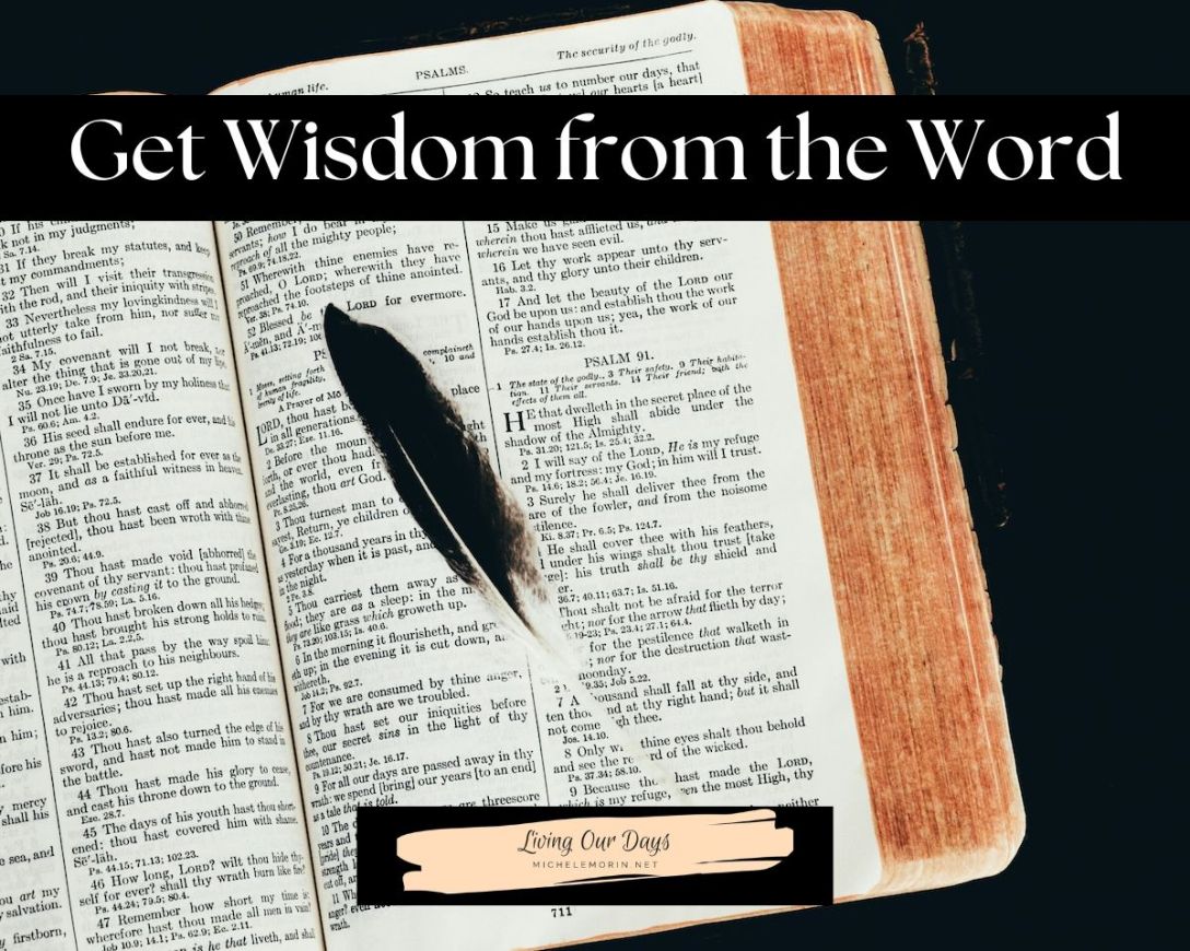 2 Reading Strategies to Get Wisdom from the Word