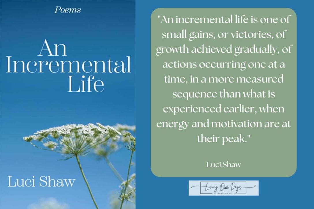 Incremental Growth and Maturity Are Ageless Gifts