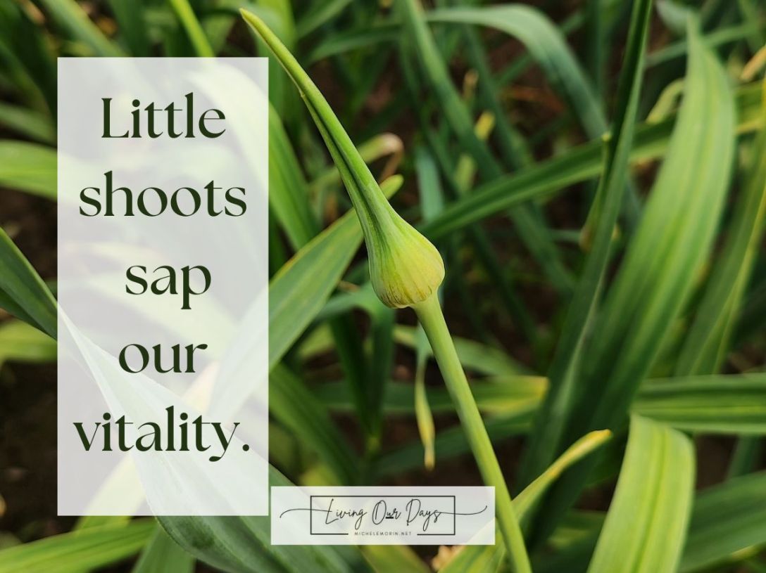 Be Brave! Cut Off Everything that Isn't Helpful