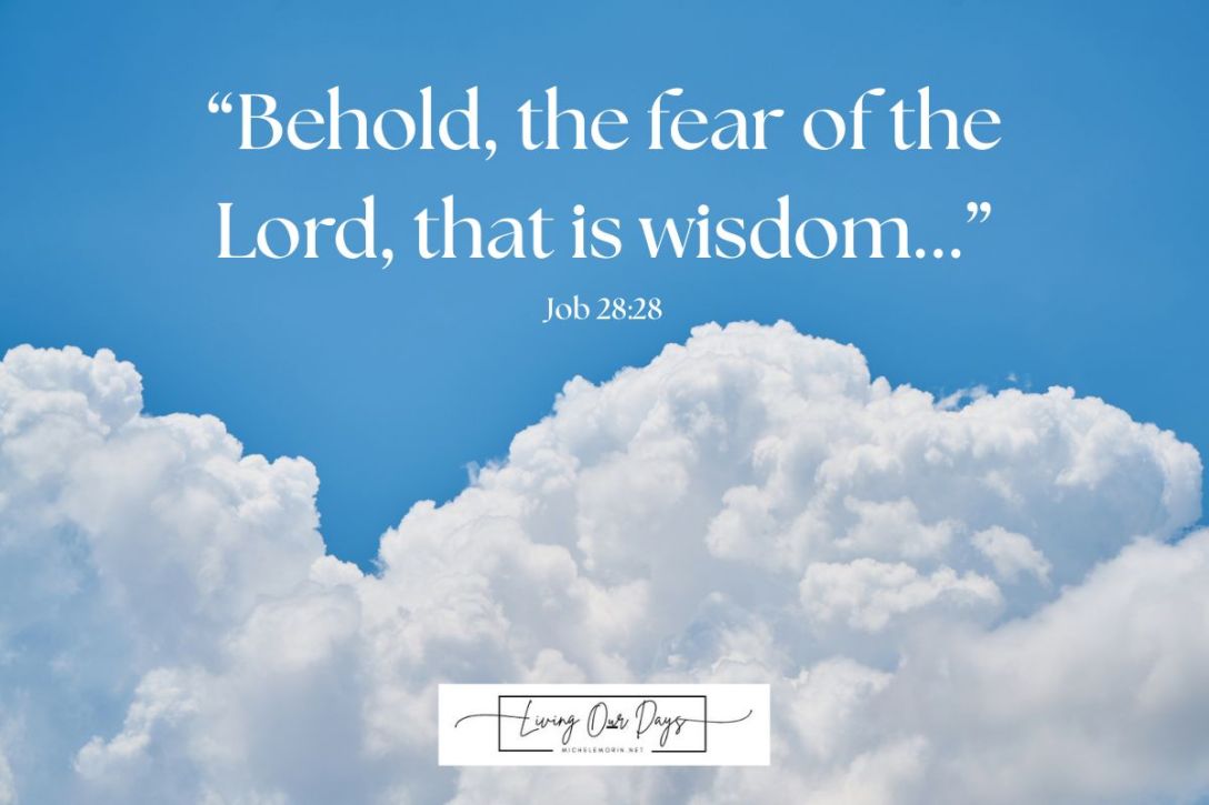 I Need More Wisdom! How Can I Grow in Godly Insight?