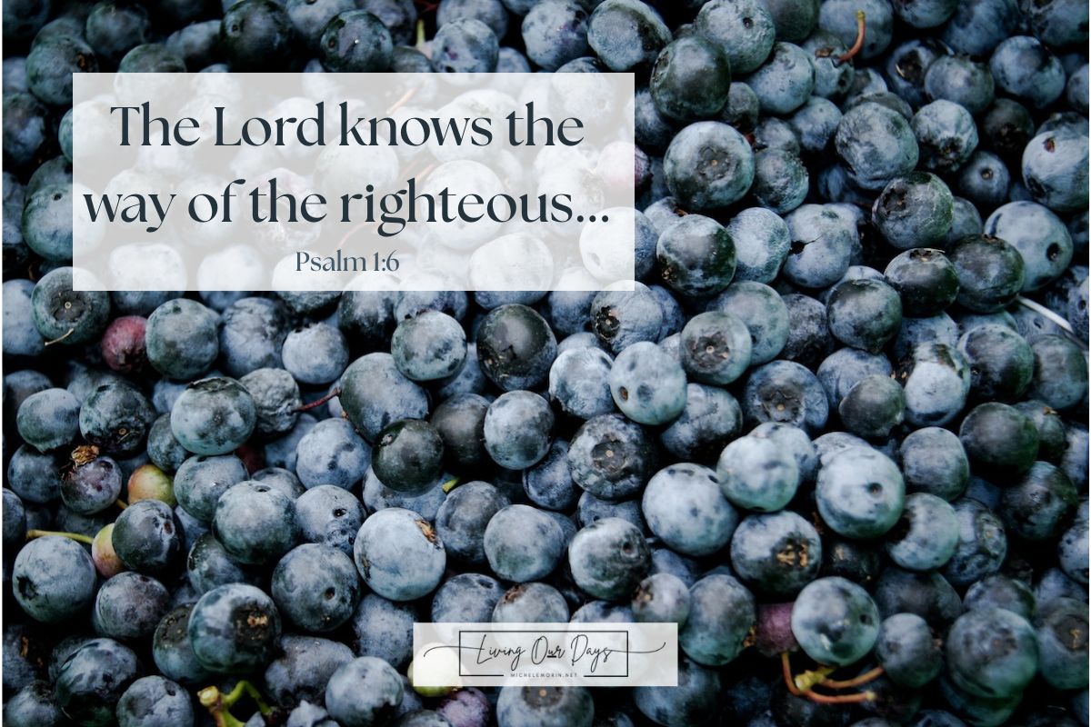 Think About What You Want to See on Your Plate