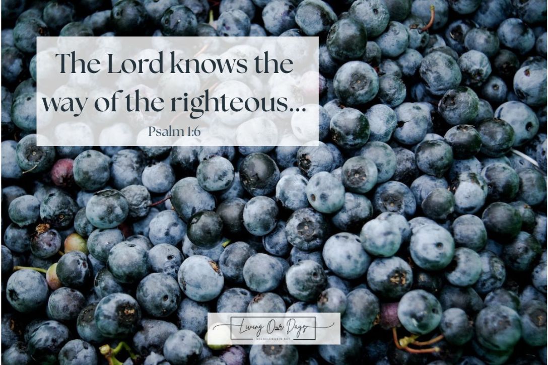 Think About What You Want to See on Your Plate