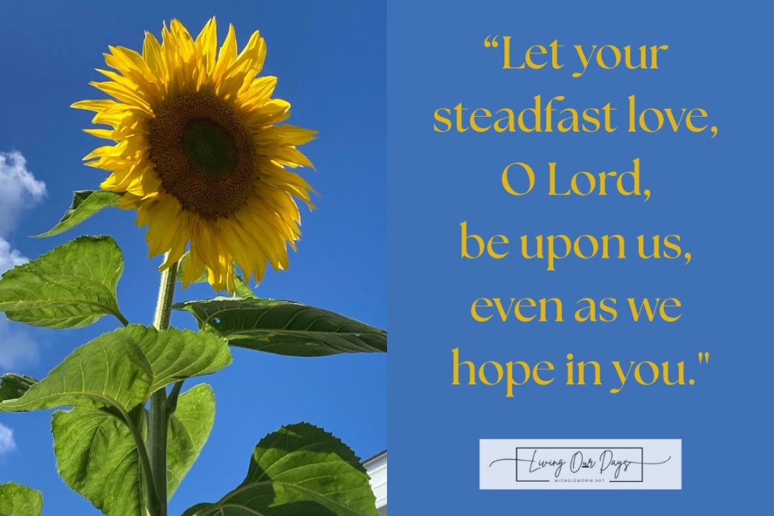 Do You Know What Your Heart Is Hoping For?