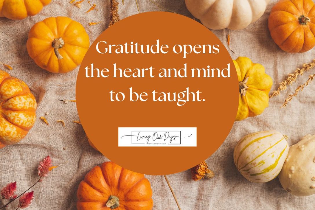 The Sure Wisdom Found in Unfiltered Gratitude
