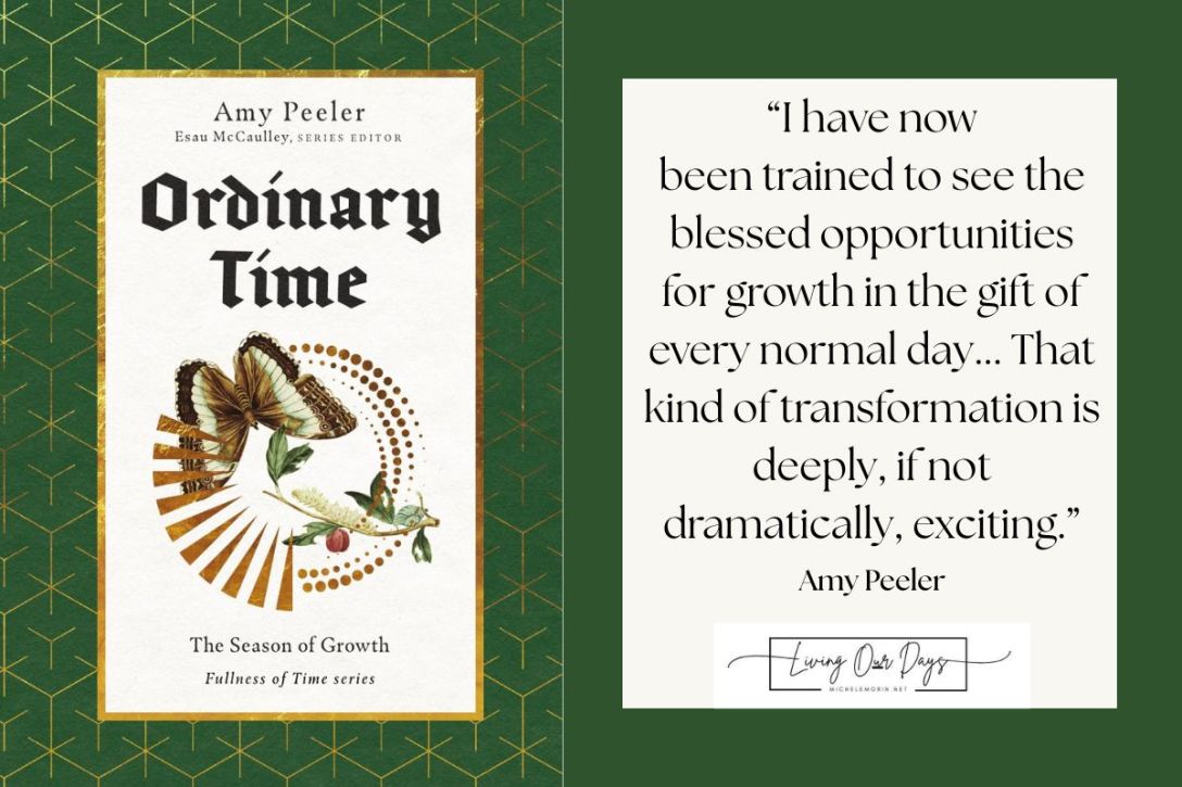 Sometimes the Greatest Transformation Comes When You're Not Looking