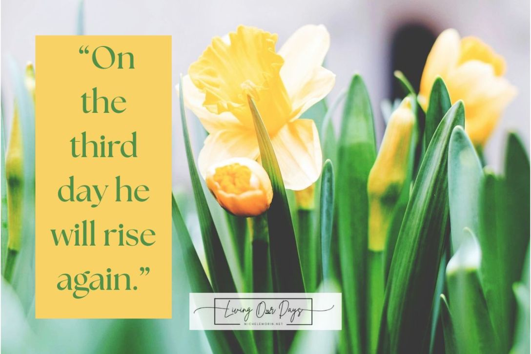 If You Really Believe that He Rose from the Dead...