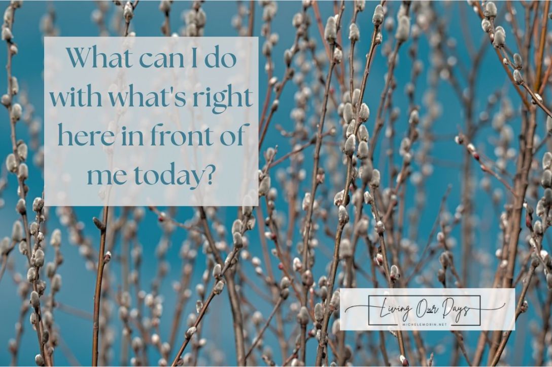 Stay in the Present Moment During Your Seasons of Transition