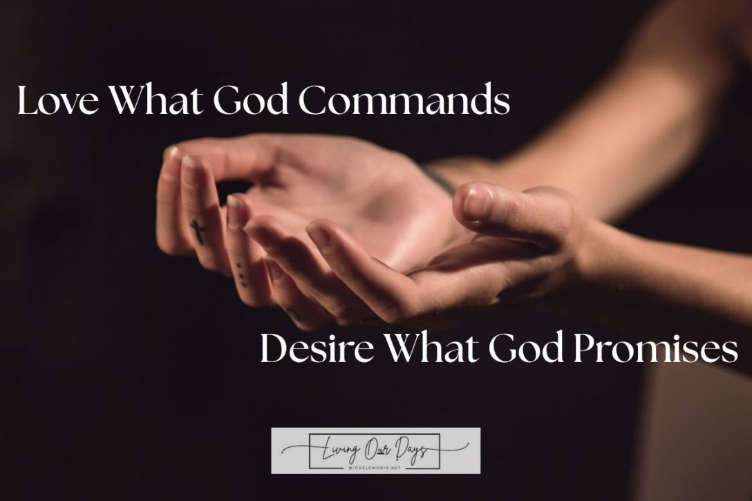 Love What God Commands. Desire What God Promises.