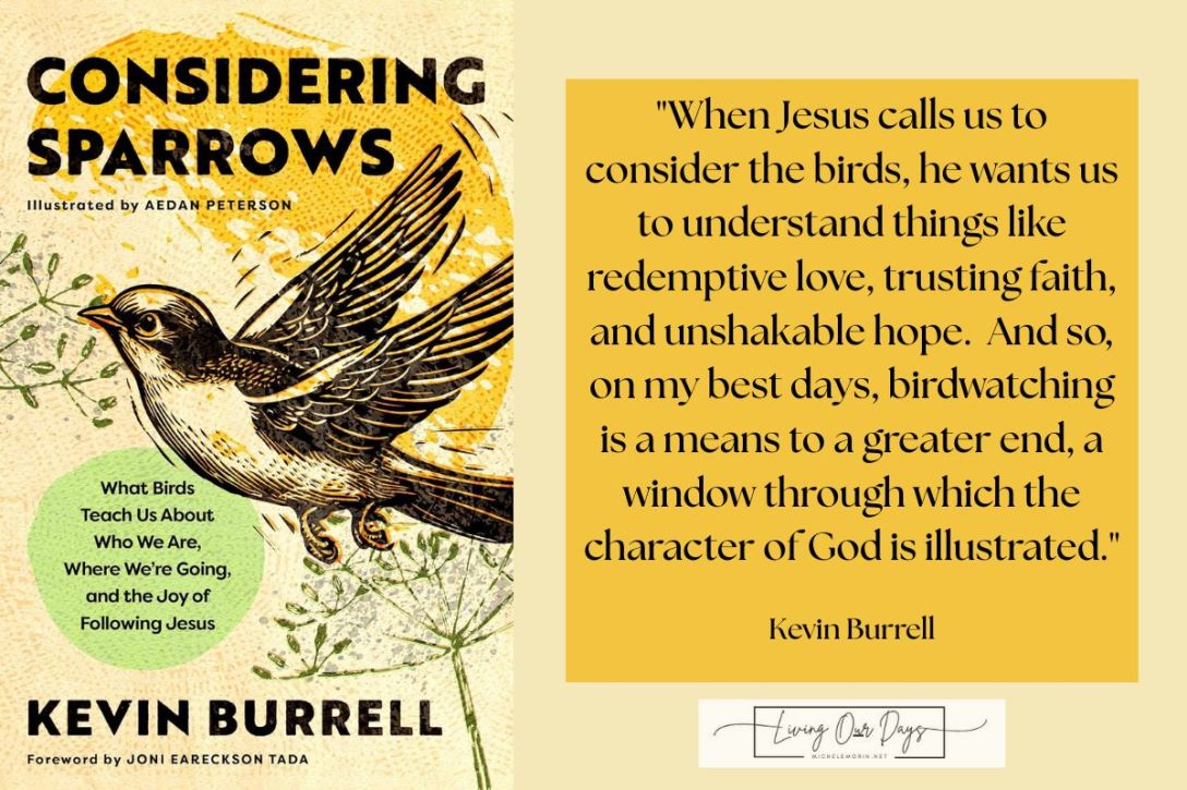Why Wise People Pay Attention to the Birds
