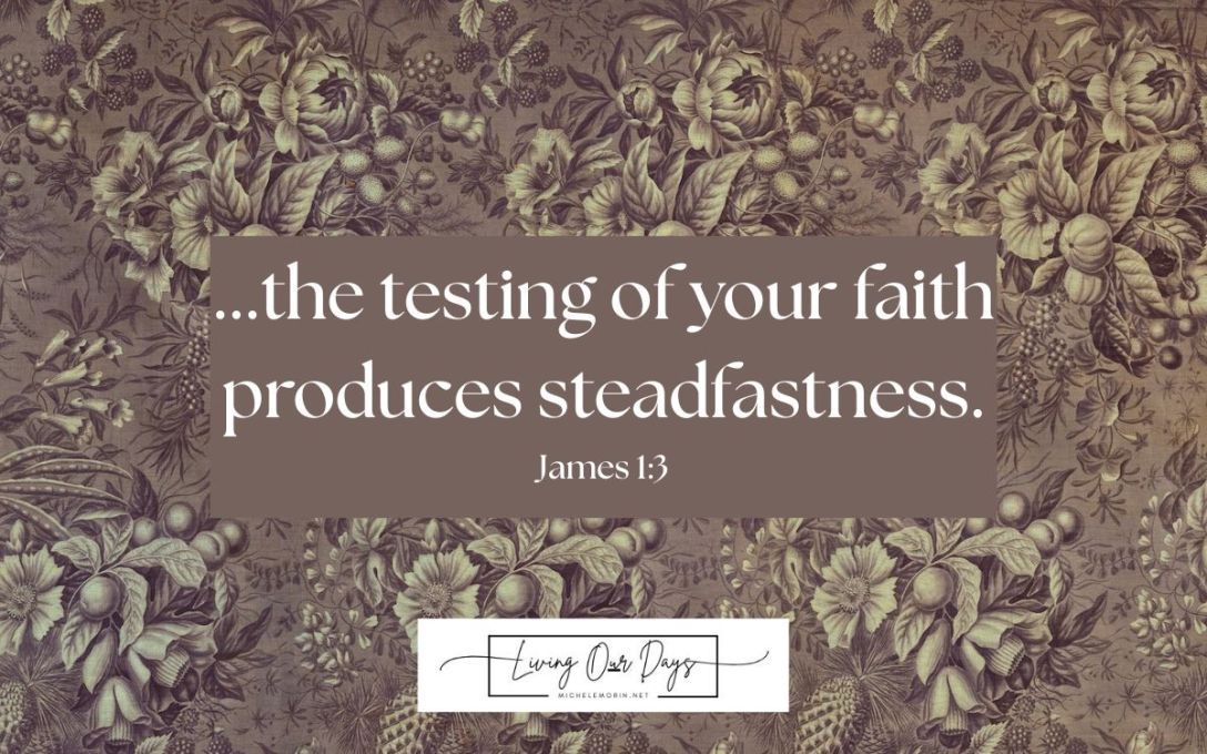 What to Look for When Times of Testing Come