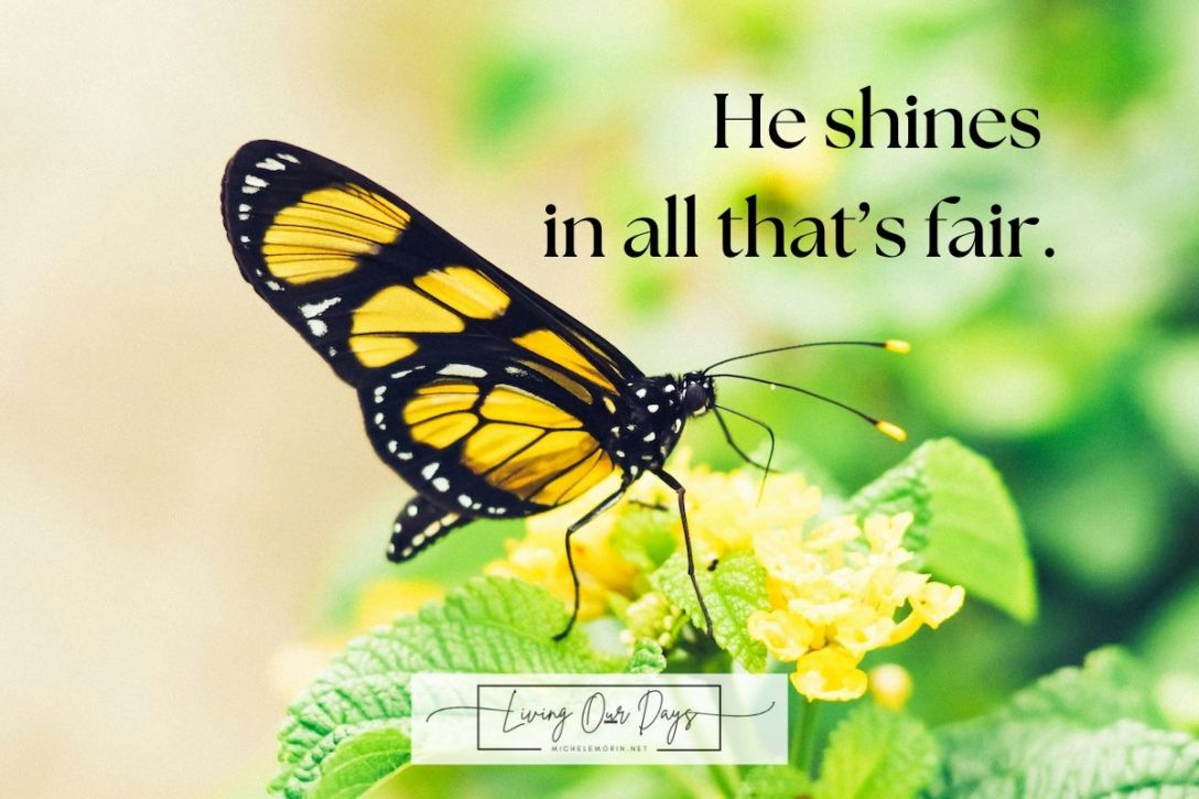 Beauty Hunt! Behold the Beauty of the Lord Today