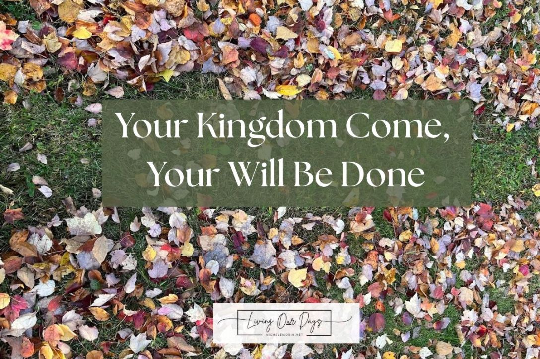 Your Obedience Makes Room for New Life to Grow